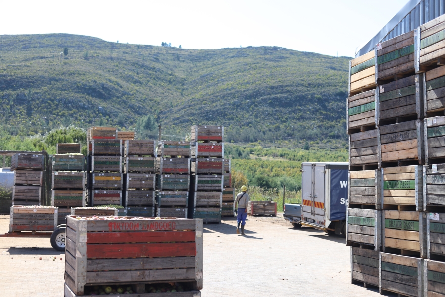 0 Bedroom Property for Sale in Haarlem Western Cape